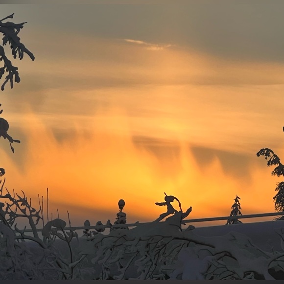 Meet your Posher - Picture 1 of 1